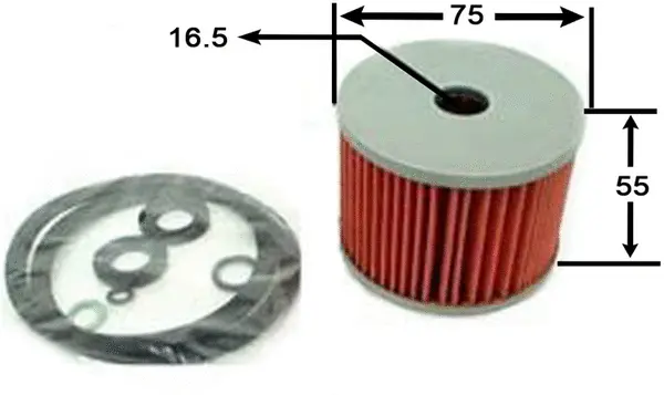 Fuel Filter (FE203J)