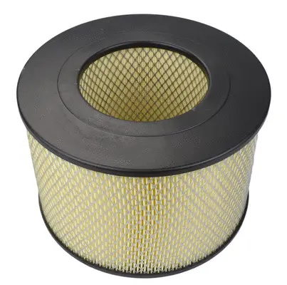 Air Filter (A147J)