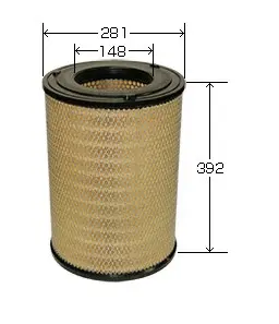 Air Filter (A581J)