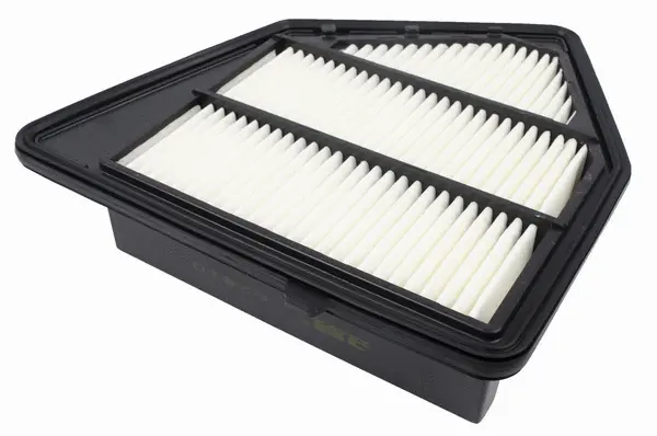Air Filter (A2810)