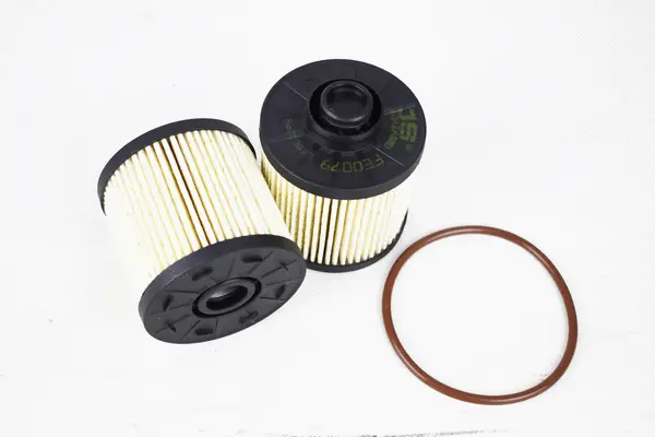 Fuel Filter (FE0079)