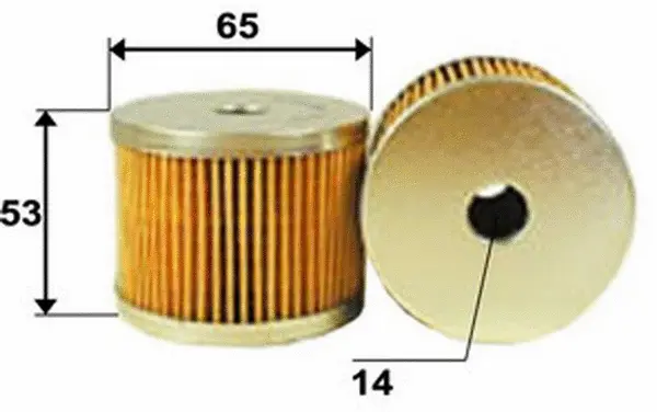 Fuel Filter (FE1009)