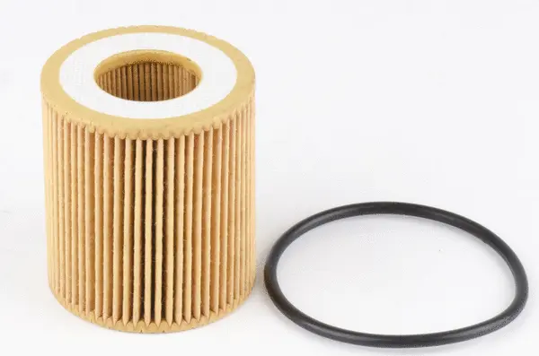 Oil Filter (OE51001)