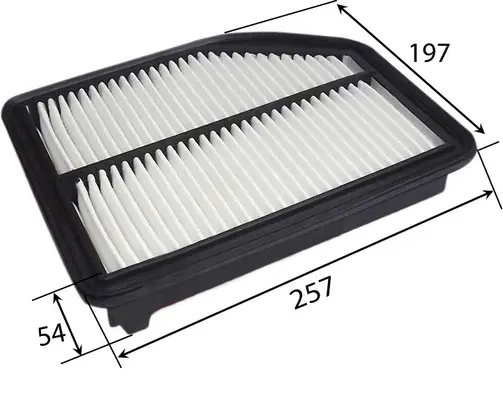Air Filter (A28011)