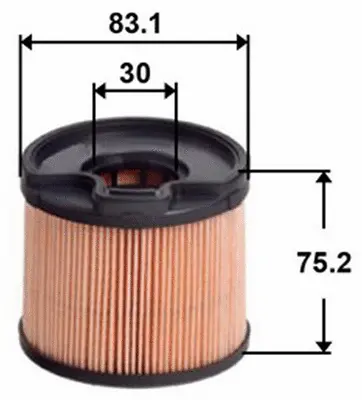Fuel Filter (FE0012)