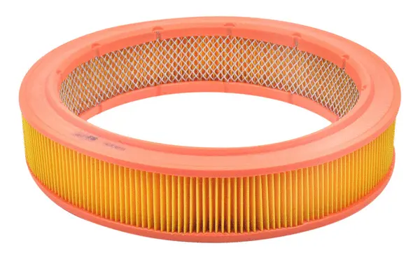Air Filter (A0089)