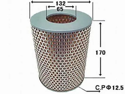 Air Filter (A152J)