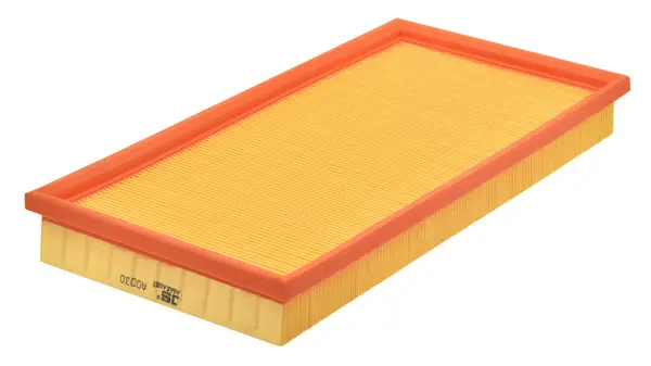 Air Filter (A0030)