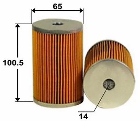Fuel Filter (FE1005)