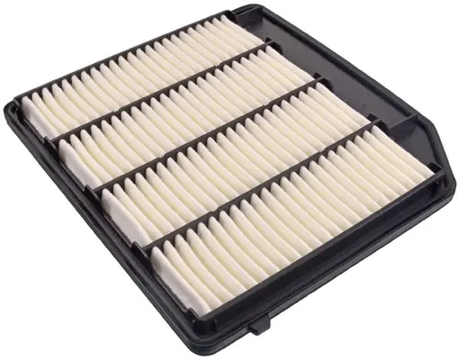 Air Filter (A2910)