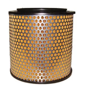 Air Filter (A143J)