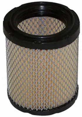Air Filter (A0663)