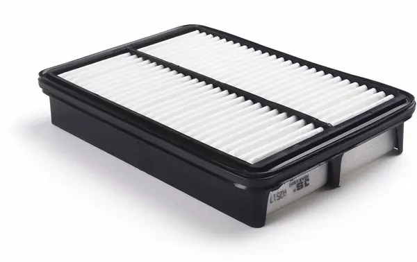 Air Filter (A2517)