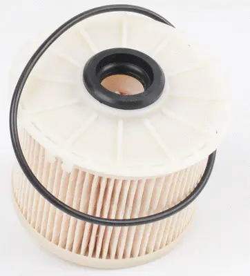 Fuel Filter (FE0025)