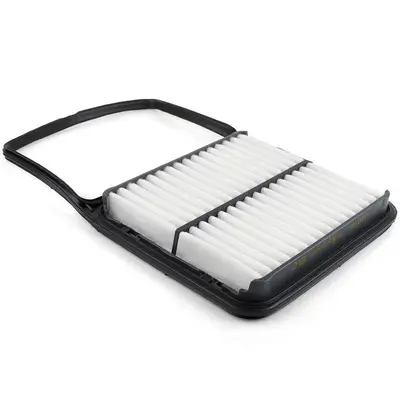 Air Filter (A1010)