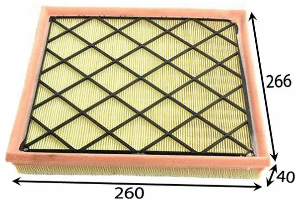 Air Filter (A52011)