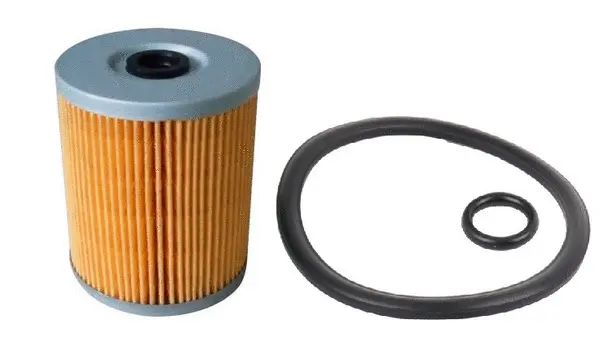 Fuel Filter (FE309J)