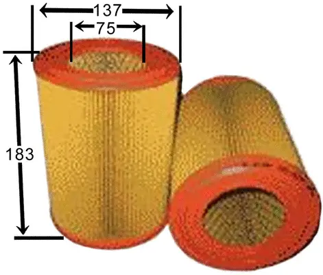 Air Filter (A0137)