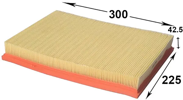 Air Filter (A924J)