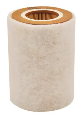 Air Filter (A0389)