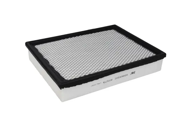 Air Filter (A0579)