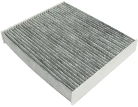 Filter, cabin air (AC0273C)