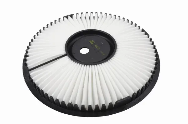 Air Filter (A347J)