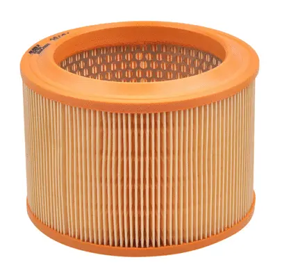 Air Filter (A0161)