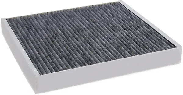 Filter, cabin air (AC0250C)