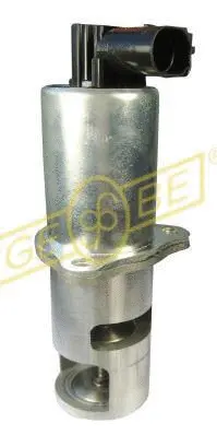 EGR Valve (9 3165 1)