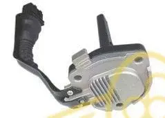 EGR Valve (9 3004 1)