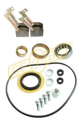 Alternator Regulator (1 4007 1)