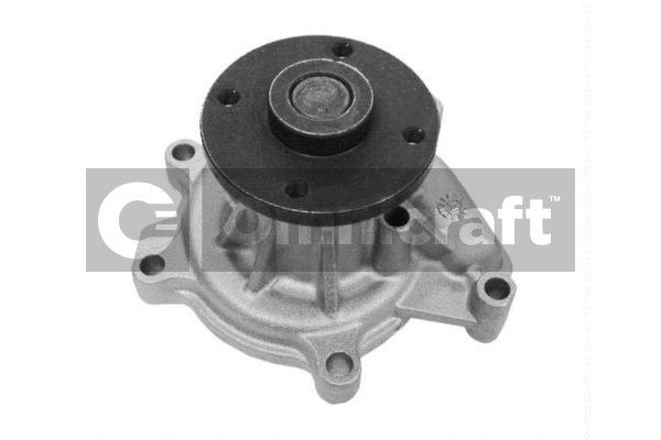 Water Pump, engine cooling (2317034)
