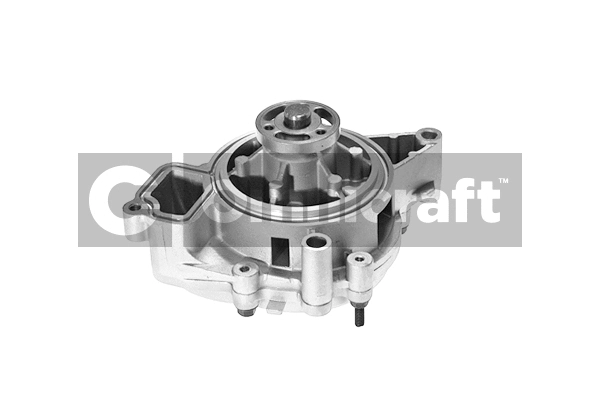 Water Pump, engine cooling (2317163)