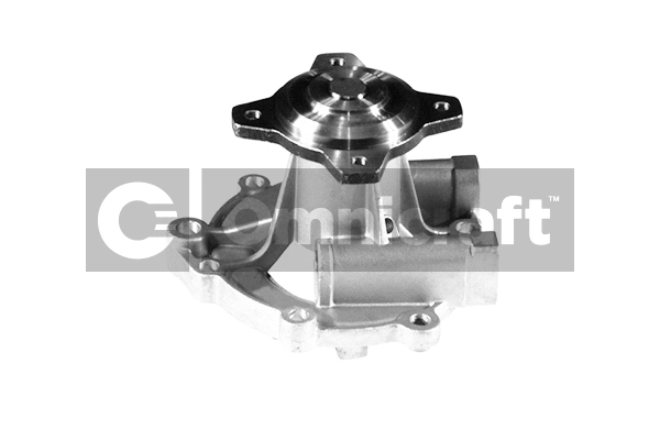 Water Pump, engine cooling (2317436)