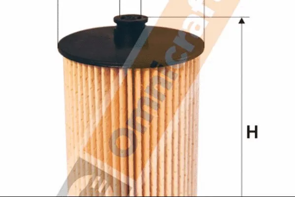 Fuel Filter (2441350)