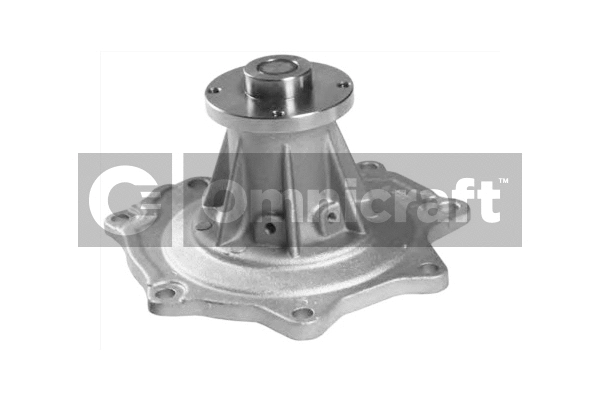 Water Pump, engine cooling (2317467)