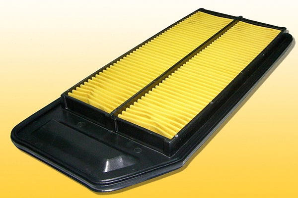 Air Filter (QFA576)