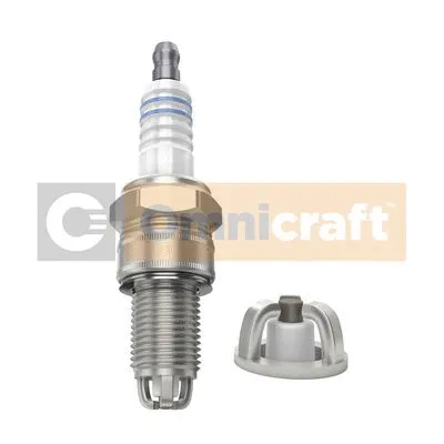 Spark Plug (2311234)