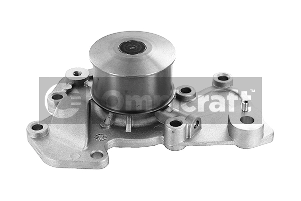 Water Pump, engine cooling (2317366)