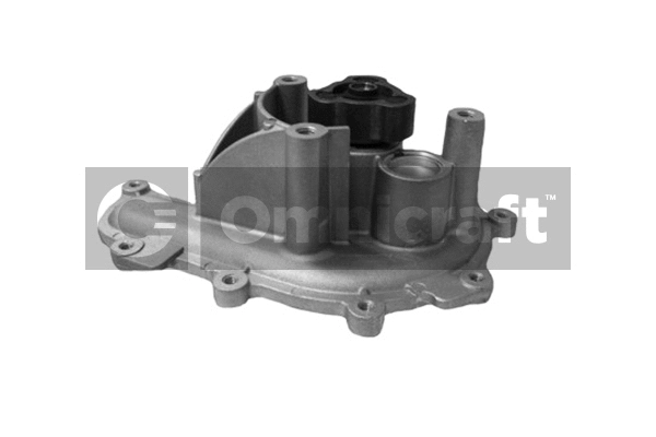 Water Pump, engine cooling (2317067)