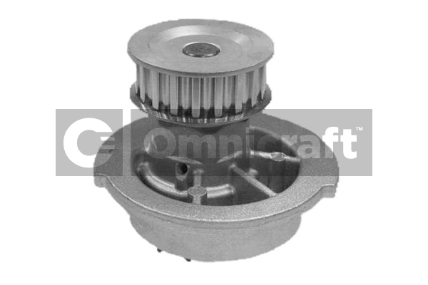 Water Pump, engine cooling (2317264)