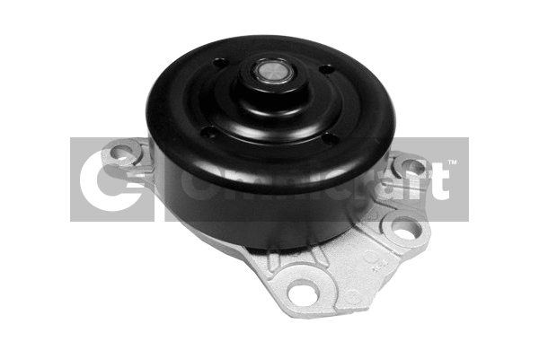 Water Pump, engine cooling (2316902)