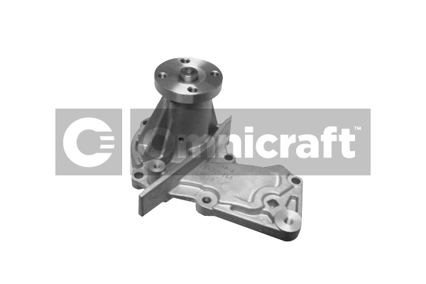 Water Pump, engine cooling (2317330)