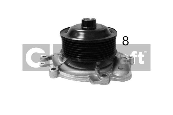 Water Pump, engine cooling (2317103)
