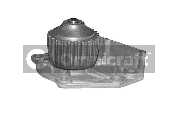 Water Pump, engine cooling (2317320)