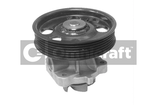 Water Pump, engine cooling (2317008)