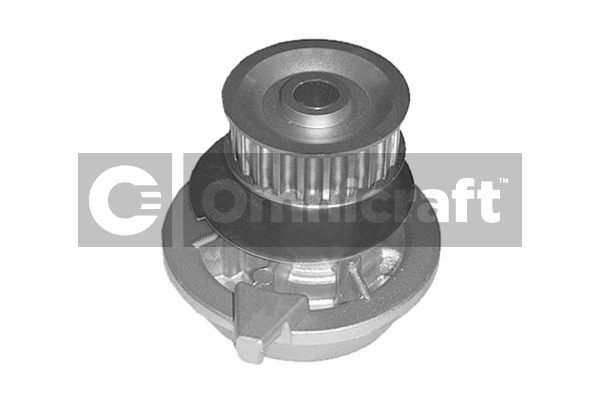 Water Pump, engine cooling (2317380)