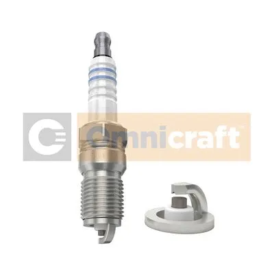 Spark Plug (2311218)