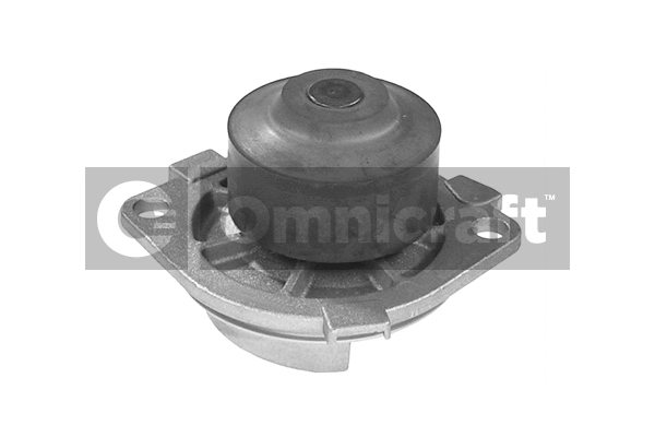 Water Pump, engine cooling (2317296)